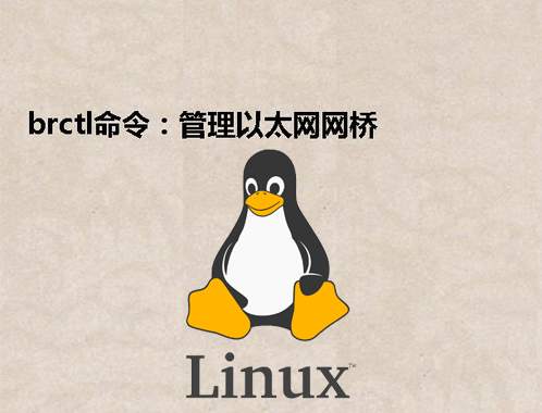 [Linux] brctl命令：管理以太网网桥