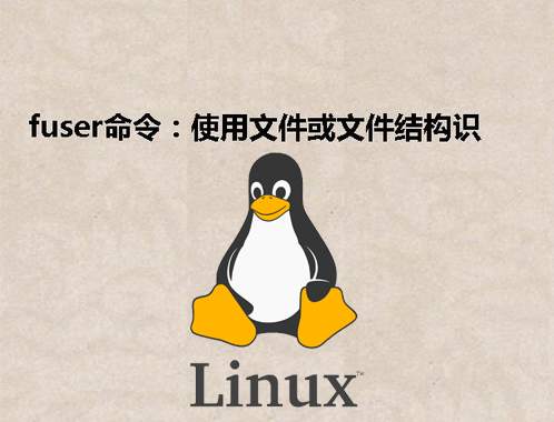 [Linux] fuser命令：使用文件或文件结构识别进程